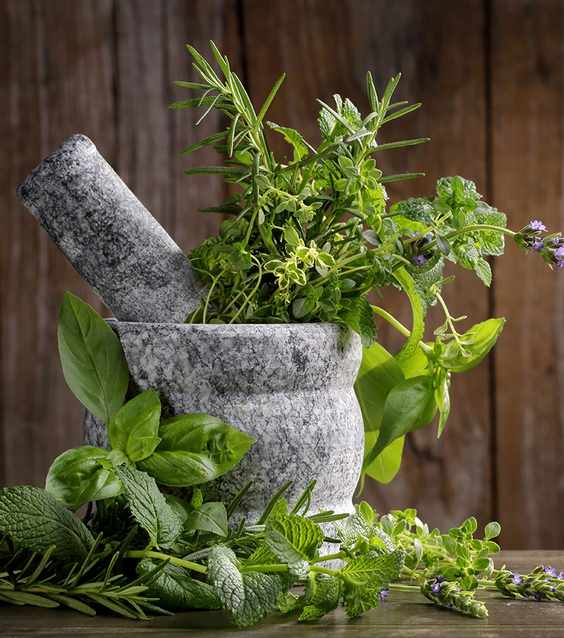 AdobeStock_65235684